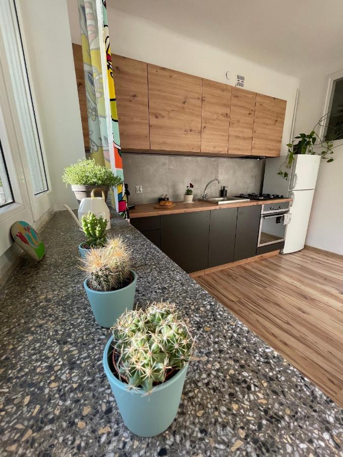 Old Town Nest Apartment คราคูฟ ภายนอก รูปภาพ